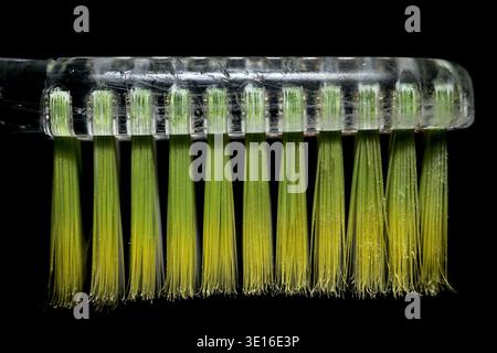 Primo piano di una testina con setole verdi e manico trasparente Foto Stock