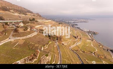 Veduta aerea di Lavaux, Svizzera, che mostra i vigneti terrazzati vicino a Vevey. Il paesaggio presenta strade tortuose, incantevoli villaggi e acrobazie Foto Stock