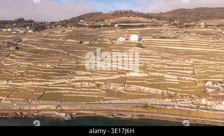 Una splendida vista aerea dei vigneti terrazzati di Lavaux, Vevey, Svizzera. I motivi e gli strati unici mettono in risalto il rinomato Winemakin della zona Foto Stock