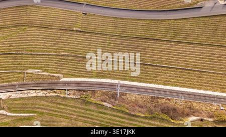 Vista aerea dei pittoreschi vigneti terrazzati di Lavaux, Svizzera, che mostrano le strade tortuose e le linee ferroviarie che attraversano la lussureggiante vegetazione Foto Stock