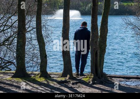 Figura solitaria che guarda un lago con una fontana attraverso l'albero. Foto Stock