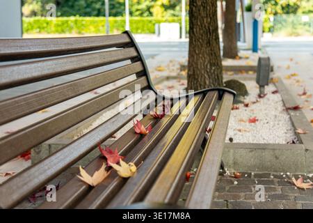 L'autunno parte su una panchina di legno nel centro di Abano Terme, Italia Foto Stock