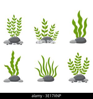 Alghe verdi e piante di alghe marine con pietre che illustrano i vettori. Illustrazione Vettoriale