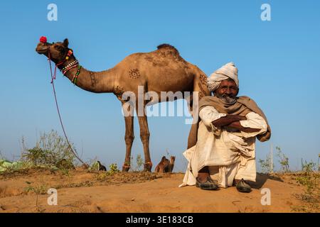 Un uomo siede sulla sabbia di fronte a un cammello con segni decorativi alla Fiera dei cammelli di Pushkar, mentre altri animali sono nelle vicinanze. Foto Stock