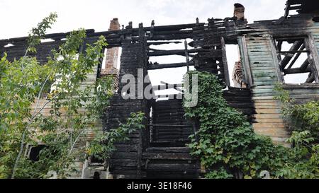 Rovine di un edificio in legno bruciato con legname carbonizzato e piante sovrastate. Foto Stock