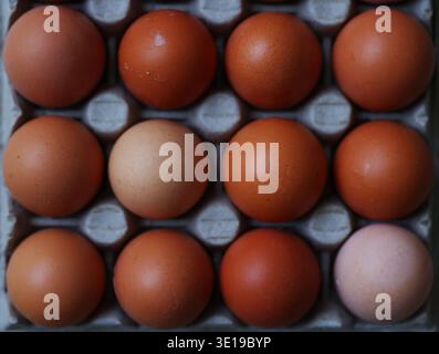 Vista dall'alto delle uova di pollo marroni nel vassoio di cartone con un uovo accendisigari. Concetto di background alimentare. Foto Stock
