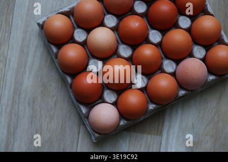 Primo piano di uova scure biologiche disposte in scatola di cartone. Cibo naturale agricolo e concetto di nutrizione sana. Foto Stock