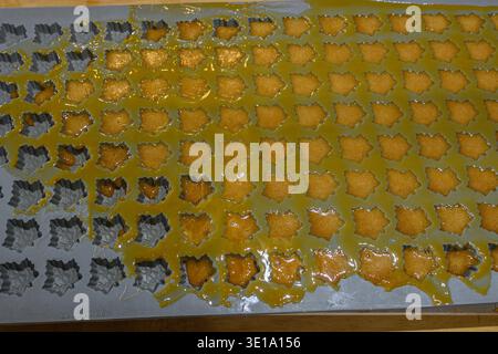 Oakville, ONTARIO, Canada - 11 marzo 2026: Lo sciroppo d'acero si raffredda in uno stampo a forma di foglia durante l'annuale Bronte Creek Maple Syrup Festival. Foto Stock