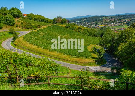 Vigneti nella regione austriaca della Stiria vicino a Deutschlandsberg.IMMAGINE Foto Stock