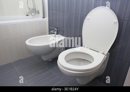 WC e bidet nel bagno grigio Foto Stock
