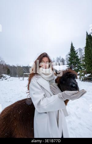 Una donna con cappotto bianco nutre alpaca marrone scuro in un paddock innevato Foto Stock