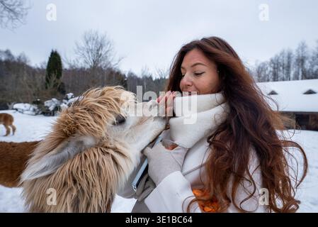 La donna con il cappotto bianco nutre la panna e abbronza l'alpaca nelle nevose giornate invernali Foto Stock