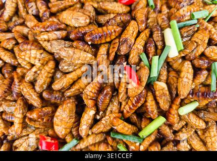 Pupae di bachi da seta fritti, uno spuntino popolare del cibo di strada nel sud-est asiatico, Phnom Penh, Cambogia Foto Stock