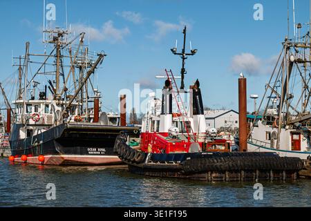 Rimorchiatori a Steveston Wharf a Richmond, British Columbia, Canada. Foto Stock