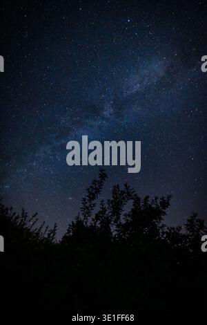 Bergnicourt, Rethel, Ardenne, Grand-Est, Francia, 28 agosto 2025, paesaggio stellato con ombre al chiaro di luna, scenografico tableau notturno con arbusti stellati e nucleo galattico lontano Foto Stock