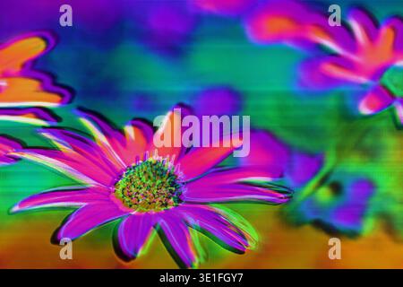 Glitch Flower Art con RGB Split e Scanline Artifact Foto Stock