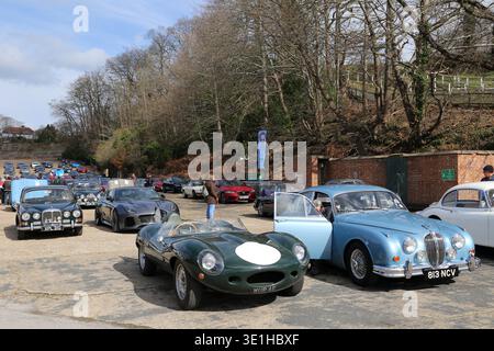 Jaguar D-Type (replica 1967) e Jaguar Mk2 (1962), Jaguar Breakfast Club, 14 marzo 2026, Brooklands Museum, Surrey, Inghilterra, Regno Unito Foto Stock