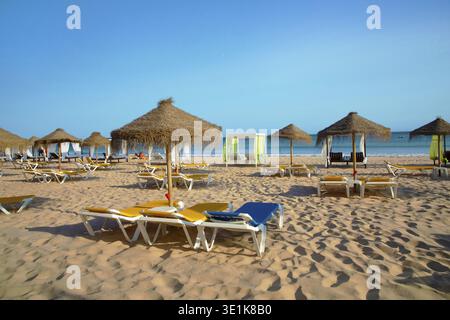 File di sedie a sdraio e ombrelloni sulla spiaggia sabbiosa lungo l'Algarve in Portogallo. Concetto di viaggio Sommer e sfondo spiaggia Foto Stock