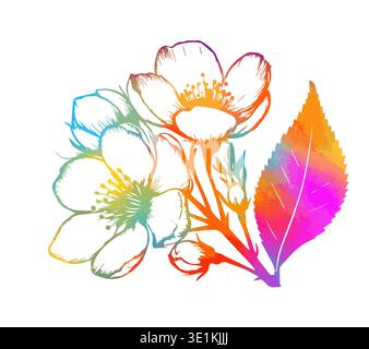 Rami di ciliegio con fiori, sakura colorato isolato su sfondo bianco. Disegnato a mano. Non ai, illustrazione vettoriale. Illustrazione Vettoriale