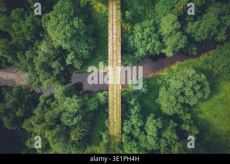 Ripresa aerea con drone simmetrico che guarda direttamente in basso su un vecchio ponte ferroviario abbandonato che attraversa uno stretto fiume nel mezzo di una fitta foresta verde. Foto Stock