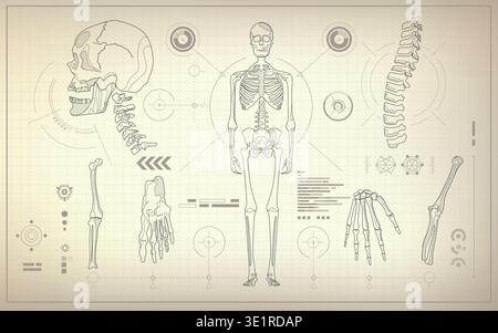 concetto di tecnologia sanitaria, parti di scheletro nella scienza anatomica Illustrazione Vettoriale