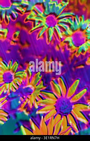 Glitch Flower Pattern con RGB Split (Divisione RGB) e Scanline artefatti Foto Stock