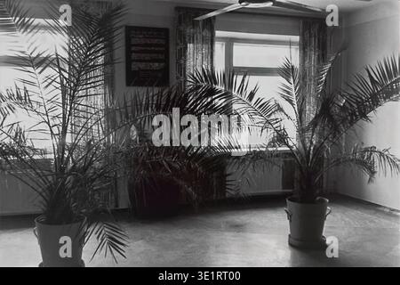 Una fotografia d'archivio in bianco e nero del 1977 mostra uno spazio interno vuoto, probabilmente una sala d'attesa o una sala, presso l'ospedale della fabbrica AIZ di Slavyansk. La camera e' decorata con due grandi piante di palma in vaso poste sul pavimento vicino ad una finestra, riflettendo i tipici sforzi estetici istituzionali e di comfort dell'era sovietica. Una targa informativa è appesa al muro. Questa immagine storica cattura l'atmosfera tranquilla della struttura medica, i dintorni di tutti i giorni e la pace del Donbass prima della guerra. Foto Stock