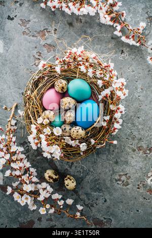 Uova di Pasqua colorate in un nido con ramo fiorito Foto Stock