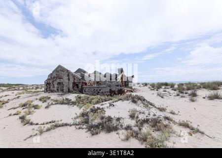 Dhanushkodi, rovine, città abbandonata, deserta, frantumata, decaduto, storico, intemperie, struttura, isolamento, Rameswaram, Tamil Nadu, India meridionale Foto Stock