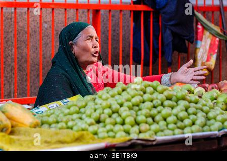 Un commerciante di mercato di Udaipur gestisce mentre si siede dietro una grande pila di frutti verdi e altri frutti di stagione. Foto Stock