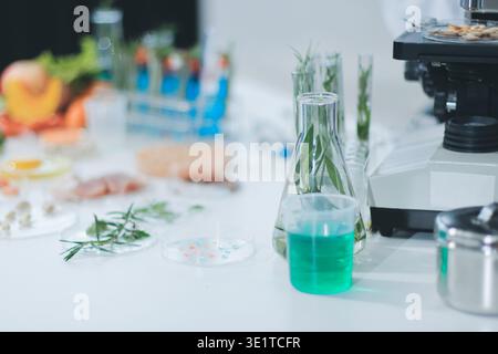 Laboratorio chimico dell'alimentazione alimentare. Alimenti in laboratorio, dna modificano .OGM alimenti geneticamente modificati in laboratorio . Foto Stock