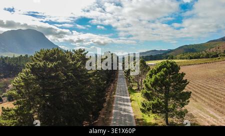 Vista aerea della valle del vino a Hermanus, città del Capo Foto Stock