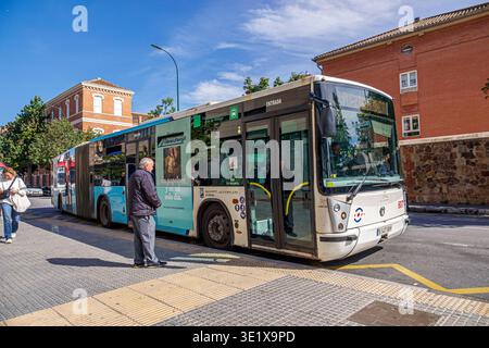 Malaga Spagna, Andalusia Andalusia, trasporto pubblico in autobus cittadino, veicolo articolato EMT Malaga City, piattaforma di fermata dei trasporti pubblici, man adul Foto Stock