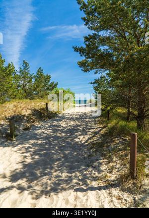 Vista panoramica del Mar Baltico dalle dune di sabbia sull'isola di Usedom in Germania popolare destinazione turistica estiva vacanza al mare e visite turistiche costiere Foto Stock