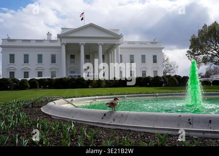 Washington DC, Stati Uniti. 17 marzo 2026. L'acqua della fontana della Casa Bianca sul lato nord è colorata di verde per celebrare il giorno di San Patrizio a Washington, DC, USA martedì 17 marzo 2026. Credito: Yuri Gripas/Pool via CNP/MediaPunch credito: MediaPunch Inc/Alamy Live News Foto Stock