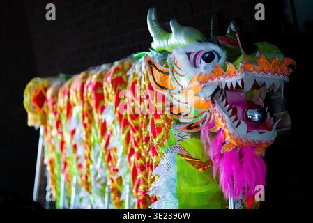 Festival del Capodanno lunare cinese del drago celebrativo Foto Stock