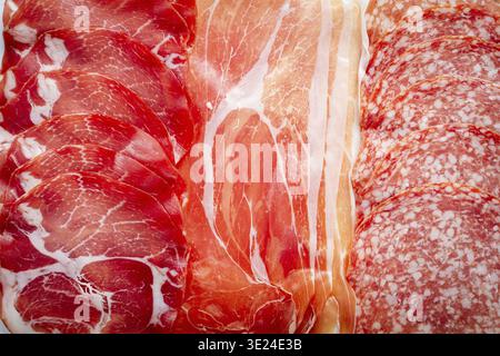 Vari tipi di affettati, tra cui prosciutto, salame e altre specialità, sono splendidamente disposti su un piatto, mostrando le loro consistenze e. Foto Stock