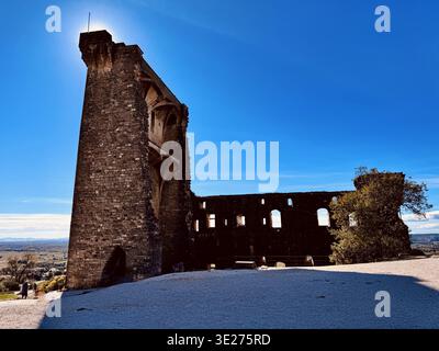 Rovine del castello, Chateauneuf du Pape in Provenza, Francia Foto Stock
