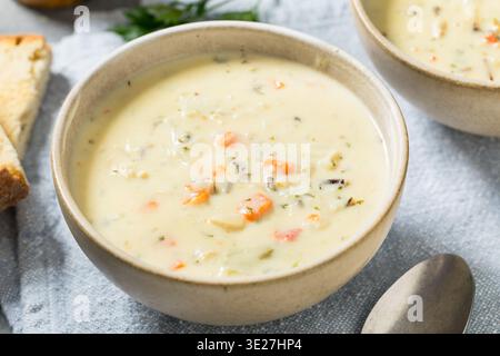 Pollo alla panna fatta in casa caldo e sano e zuppa di riso selvatico in una ciotola Foto Stock