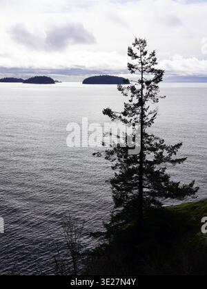Le acque blu profonde di Howe Sound sono incorniciate da ripide montagne coperte di sempreverde e da una costa rocciosa sotto un cielo limpido nella Columbia Britannica Foto Stock