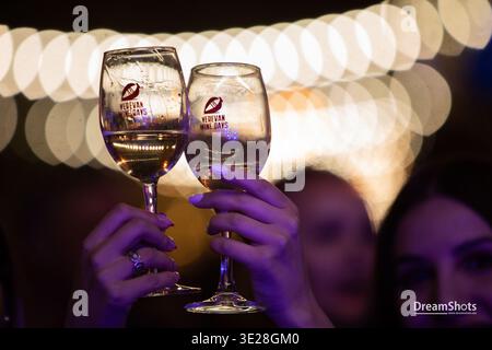 Al festival Yerevan Wine Days, i visitatori reggono bicchieri di vino di marca davanti a luci a corda e una folla vivace. Foto Stock
