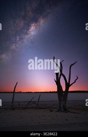 La luce zodiacale che raggiunge il nucleo della via Lattea prima dell'alba. Girato nella Wheatbelt dell'Australia Occidentale. Foto Stock