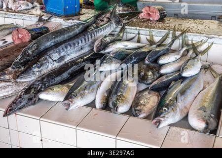 Barracuda e tonno, mercato del pesce, Grenville, St Andrew Parish, Grenada Foto Stock