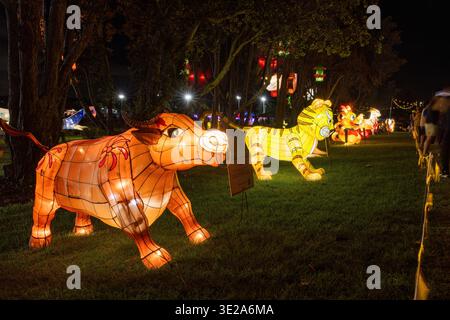 Una lanterna del capodanno cinese mostra di animali nello zodiaco cinese, tra cui un bue, una tigre e un drago Foto Stock