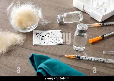 Sfondo con dettaglio di un vaccino antiallergico per animali domestici set con diverse bottiglie di dose e siringhe su un tavolo di legno con una ciotola piena di allergeni con beccuccio Foto Stock