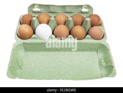Dieci uova di pollo (nove uova marroni e una bianca) in un contenitore di cartone verde isolato su sfondo bianco Foto Stock