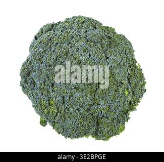 Vista dall'alto dei broccoli verdi freschi isolati su sfondo bianco Foto Stock