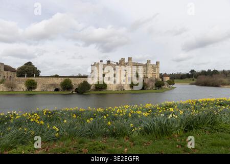 Castello di Leeds, Kent, Inghilterra, visto attraverso il fossato. Narcisi in primo piano. Foto Stock