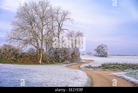 Paesaggio in una mattina ghiacciata d'inverno. Preso a Kraichgau, Germania Foto Stock