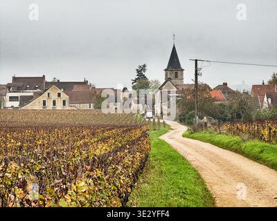 Una strada sterrata si snoda attraverso i vigneti verso la pittoresca cittadina di Vosne-Romanee, nella zona francese della Borgogna. Foto Stock